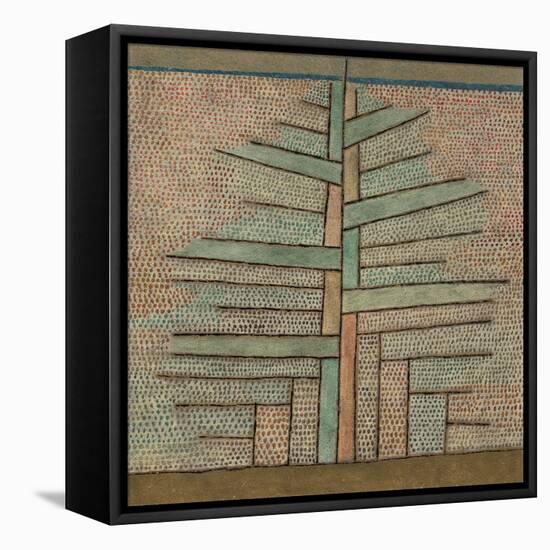 Pine Tree, 1932-Paul Klee-Framed Premier Image Canvas