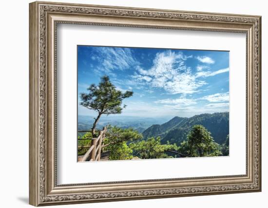 Pine Tree and Green Mountains at Tian Mu Shan Four Sides Peak, Zhejiang, China-Andreas Brandl-Framed Photographic Print