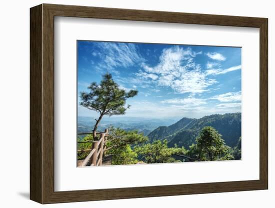 Pine Tree and Green Mountains at Tian Mu Shan Four Sides Peak, Zhejiang, China-Andreas Brandl-Framed Photographic Print