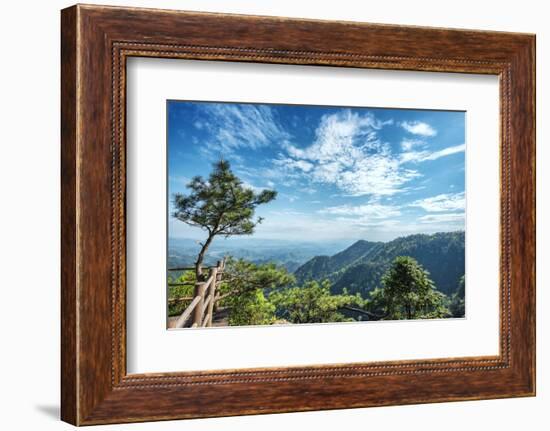 Pine Tree and Green Mountains at Tian Mu Shan Four Sides Peak, Zhejiang, China-Andreas Brandl-Framed Photographic Print