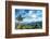 Pine Tree and Green Mountains at Tian Mu Shan Four Sides Peak, Zhejiang, China-Andreas Brandl-Framed Photographic Print