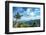 Pine Tree and Green Mountains at Tian Mu Shan Four Sides Peak, Zhejiang, China-Andreas Brandl-Framed Photographic Print