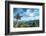 Pine Tree and Green Mountains at Tian Mu Shan Four Sides Peak, Zhejiang, China-Andreas Brandl-Framed Photographic Print