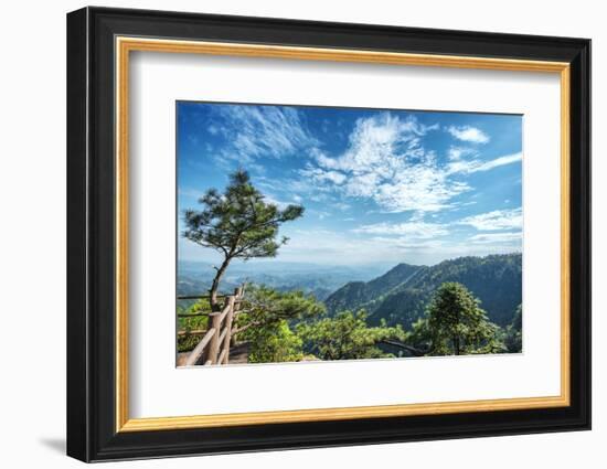 Pine Tree and Green Mountains at Tian Mu Shan Four Sides Peak, Zhejiang, China-Andreas Brandl-Framed Photographic Print