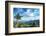 Pine Tree and Green Mountains at Tian Mu Shan Four Sides Peak, Zhejiang, China-Andreas Brandl-Framed Photographic Print