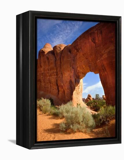 Pine Tree Arch in Arches National Park-Steve Terrill-Framed Premier Image Canvas