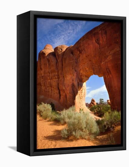 Pine Tree Arch in Arches National Park-Steve Terrill-Framed Premier Image Canvas