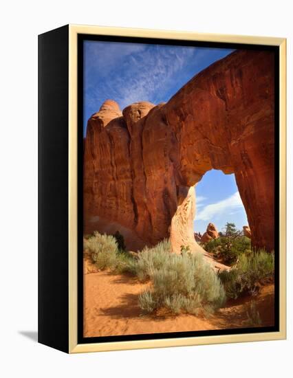 Pine Tree Arch in Arches National Park-Steve Terrill-Framed Premier Image Canvas