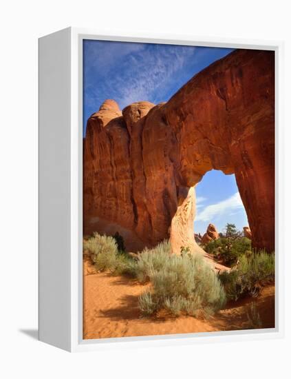 Pine Tree Arch in Arches National Park-Steve Terrill-Framed Premier Image Canvas