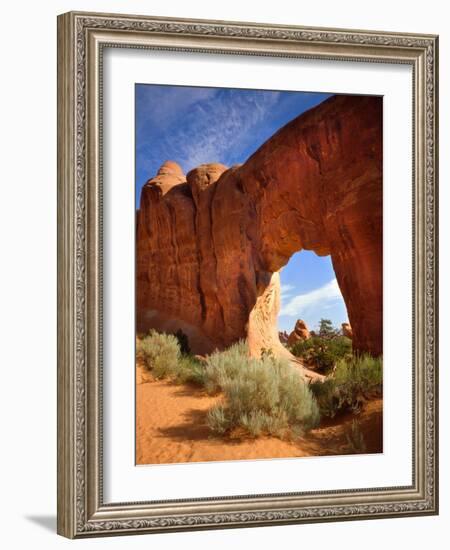 Pine Tree Arch in Arches National Park-Steve Terrill-Framed Photographic Print