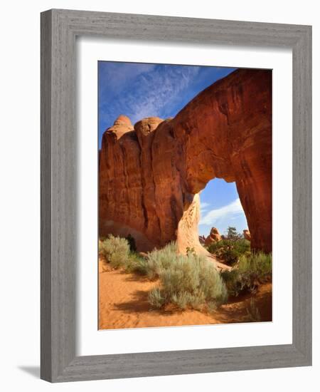 Pine Tree Arch in Arches National Park-Steve Terrill-Framed Photographic Print