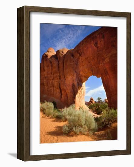 Pine Tree Arch in Arches National Park-Steve Terrill-Framed Photographic Print