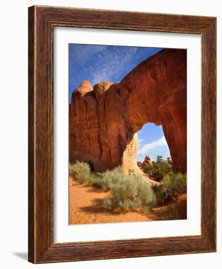 Pine Tree Arch in Arches National Park-Steve Terrill-Framed Photographic Print