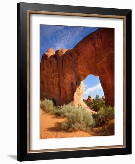 Pine Tree Arch in Arches National Park-Steve Terrill-Framed Photographic Print