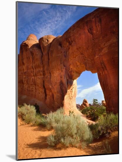 Pine Tree Arch in Arches National Park-Steve Terrill-Mounted Photographic Print