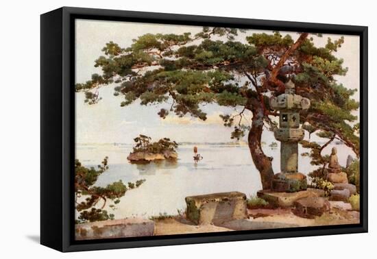 Pine-Tree at Matsushima-Ella Du Cane-Framed Premier Image Canvas