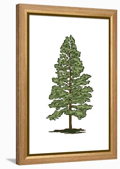 Pine Tree - Icon-Lantern Press-Framed Stretched Canvas