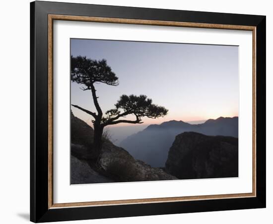 Pine Tree Silhouetted at Dusk on Lushan Mountain, Jiangxi Province-Christian Kober-Framed Photographic Print
