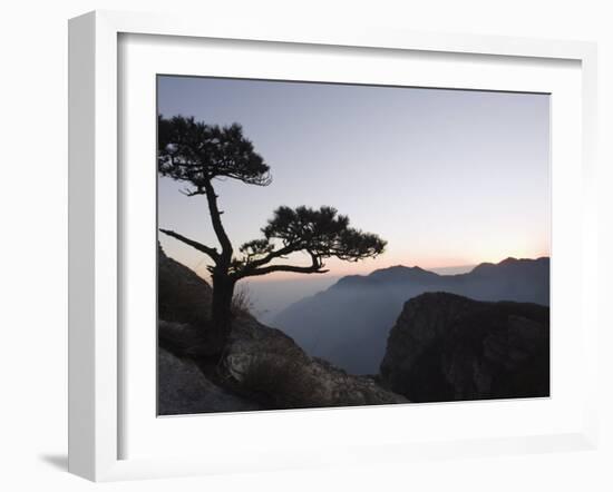 Pine Tree Silhouetted at Dusk on Lushan Mountain, Jiangxi Province-Christian Kober-Framed Photographic Print