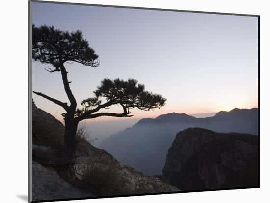 Pine Tree Silhouetted at Dusk on Lushan Mountain, Jiangxi Province-Christian Kober-Mounted Photographic Print