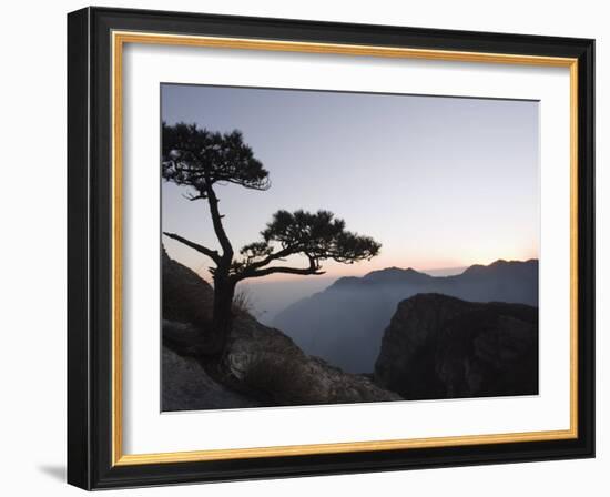 Pine Tree Silhouetted at Dusk on Lushan Mountain, Jiangxi Province-Christian Kober-Framed Photographic Print