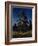 Pine Tree-Arkhip Ivanovich Kuindzhi-Framed Giclee Print