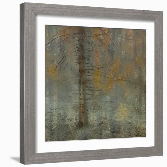 Pine tree-Nel Talen-Framed Photographic Print