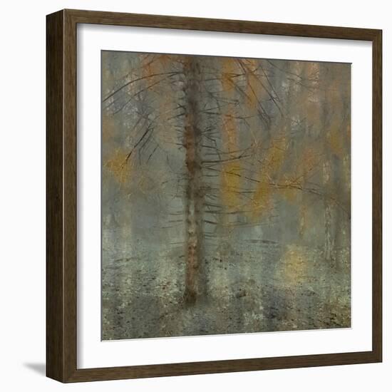 Pine tree-Nel Talen-Framed Photographic Print