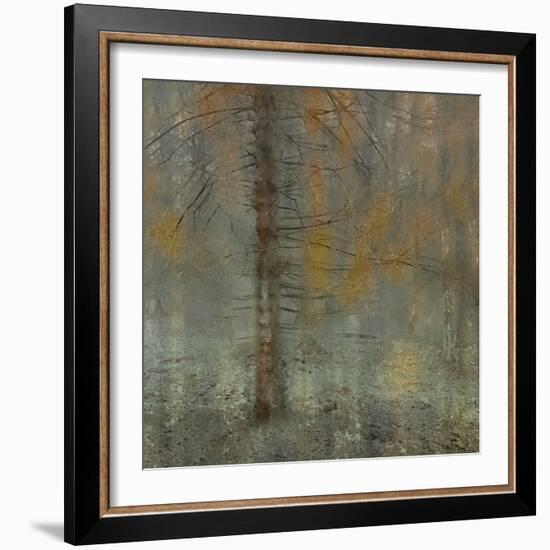 Pine tree-Nel Talen-Framed Photographic Print