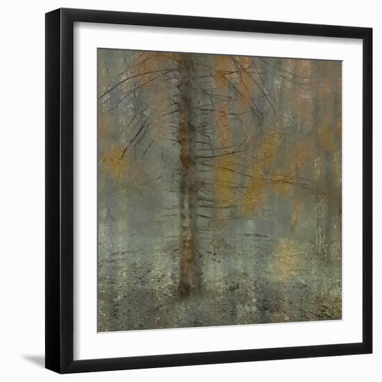 Pine tree-Nel Talen-Framed Photographic Print