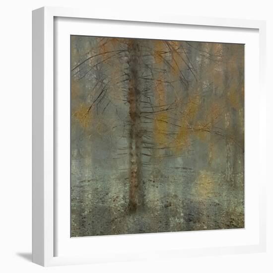 Pine tree-Nel Talen-Framed Photographic Print