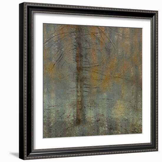 Pine tree-Nel Talen-Framed Photographic Print