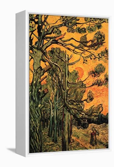 Pine Trees Against a Red Sky with Setting Sun-Vincent van Gogh-Framed Stretched Canvas