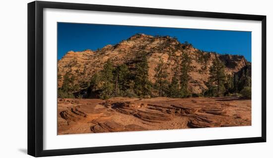 Pine trees and sandstone cliffs, Zion National Park, Utah, USA-null-Framed Photographic Print