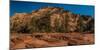 Pine trees and sandstone cliffs, Zion National Park, Utah, USA-null-Mounted Photographic Print