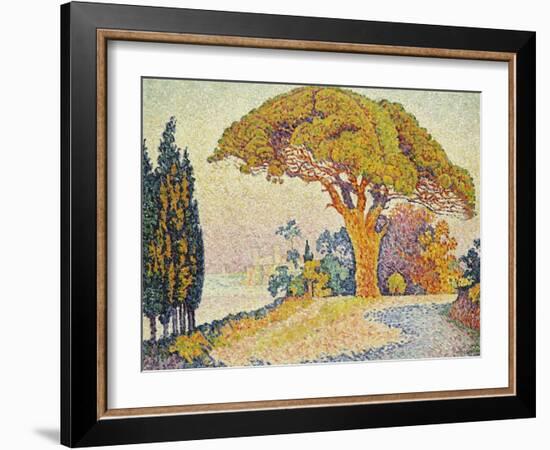 Pine Trees at Bertaud, Saint- Tropez-Paul Signac-Framed Giclee Print