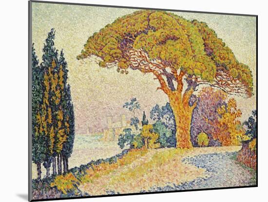 Pine Trees at Bertaud, Saint- Tropez-Paul Signac-Mounted Giclee Print
