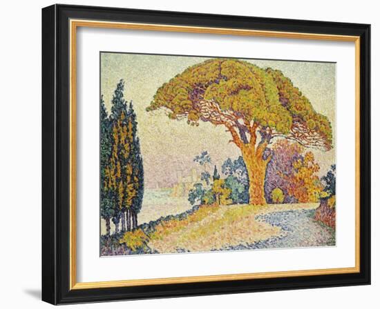 Pine Trees at Bertaud, Saint- Tropez-Paul Signac-Framed Giclee Print