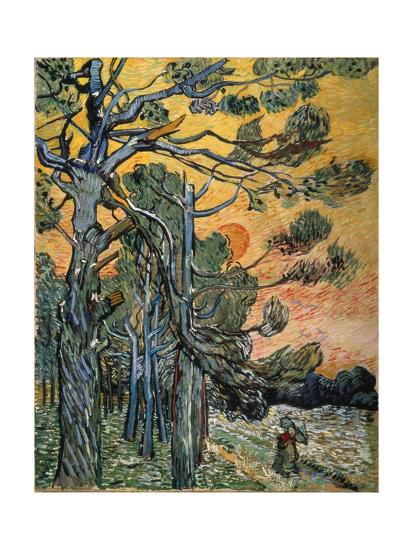 Pine Trees At Sunset 1889 Giclee Print Vincent Van Gogh Art Com