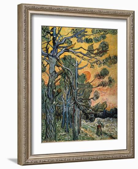 Pine Trees at Sunset, 1889-Vincent van Gogh-Framed Giclee Print