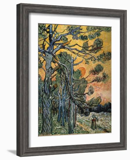 Pine Trees at Sunset, 1889-Vincent van Gogh-Framed Giclee Print