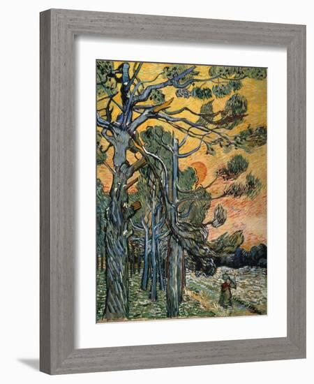 Pine Trees at Sunset, 1889-Vincent van Gogh-Framed Giclee Print