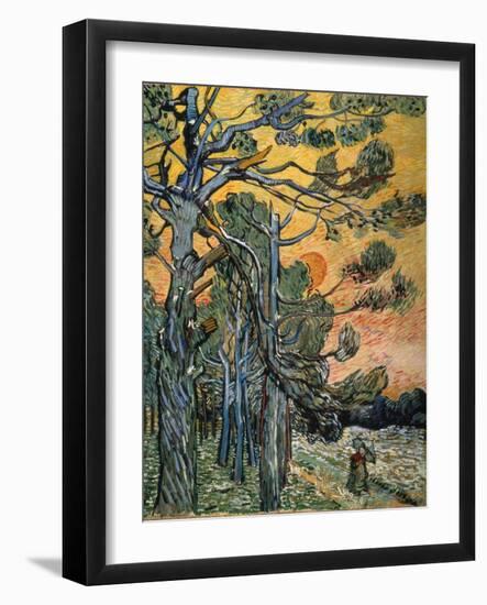 Pine Trees at Sunset, 1889-Vincent van Gogh-Framed Giclee Print