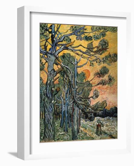 Pine Trees at Sunset, 1889-Vincent van Gogh-Framed Giclee Print