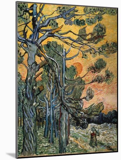 Pine Trees at Sunset, 1889-Vincent van Gogh-Mounted Giclee Print