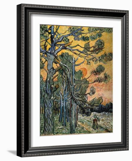 Pine Trees at Sunset, 1889-Vincent van Gogh-Framed Giclee Print