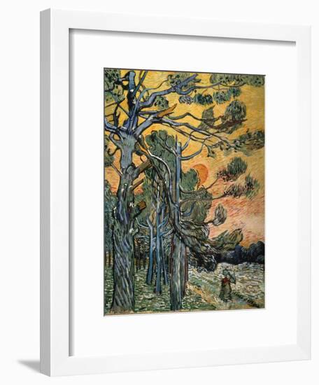 Pine Trees at Sunset, 1889-Vincent van Gogh-Framed Premium Giclee Print