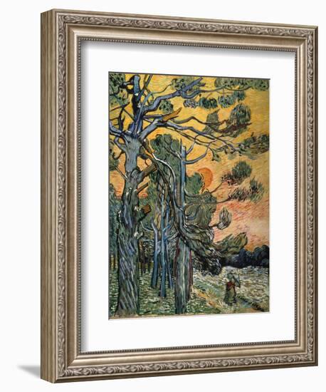 Pine Trees at Sunset, 1889-Vincent van Gogh-Framed Giclee Print