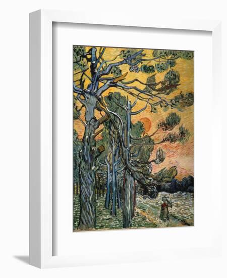 Pine Trees at Sunset, 1889-Vincent van Gogh-Framed Giclee Print