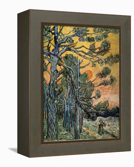 Pine Trees at Sunset, 1889-Vincent van Gogh-Framed Premier Image Canvas